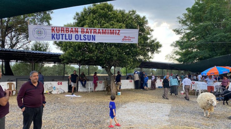 Büyükşehir mezbahaları bayramda tam kapasite çalıştı