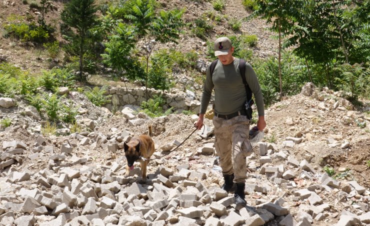 Doğa yürüyüşünde kayboldu, 2 gündür aranıyor