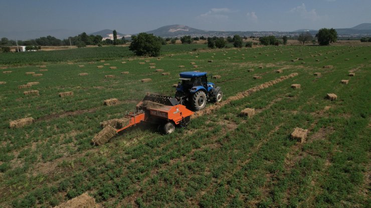 Muğla'da 434 dekar araziden elde edilen kaba yemler üreticiye dağıtılacak