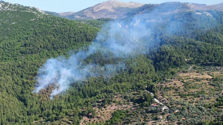 Milas'ta orman yangını (2)