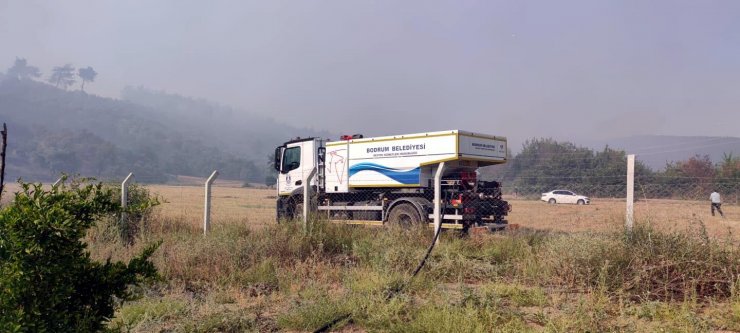 Bodrum'da belediye ekipleri yangın teyakkuzunda