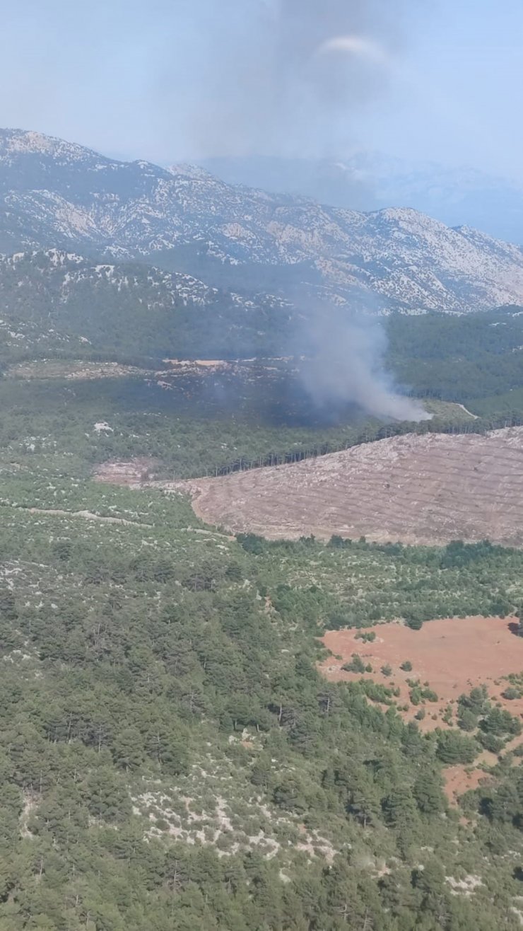 Antalya'da orman yangınında 1 hektar alan kül oldu