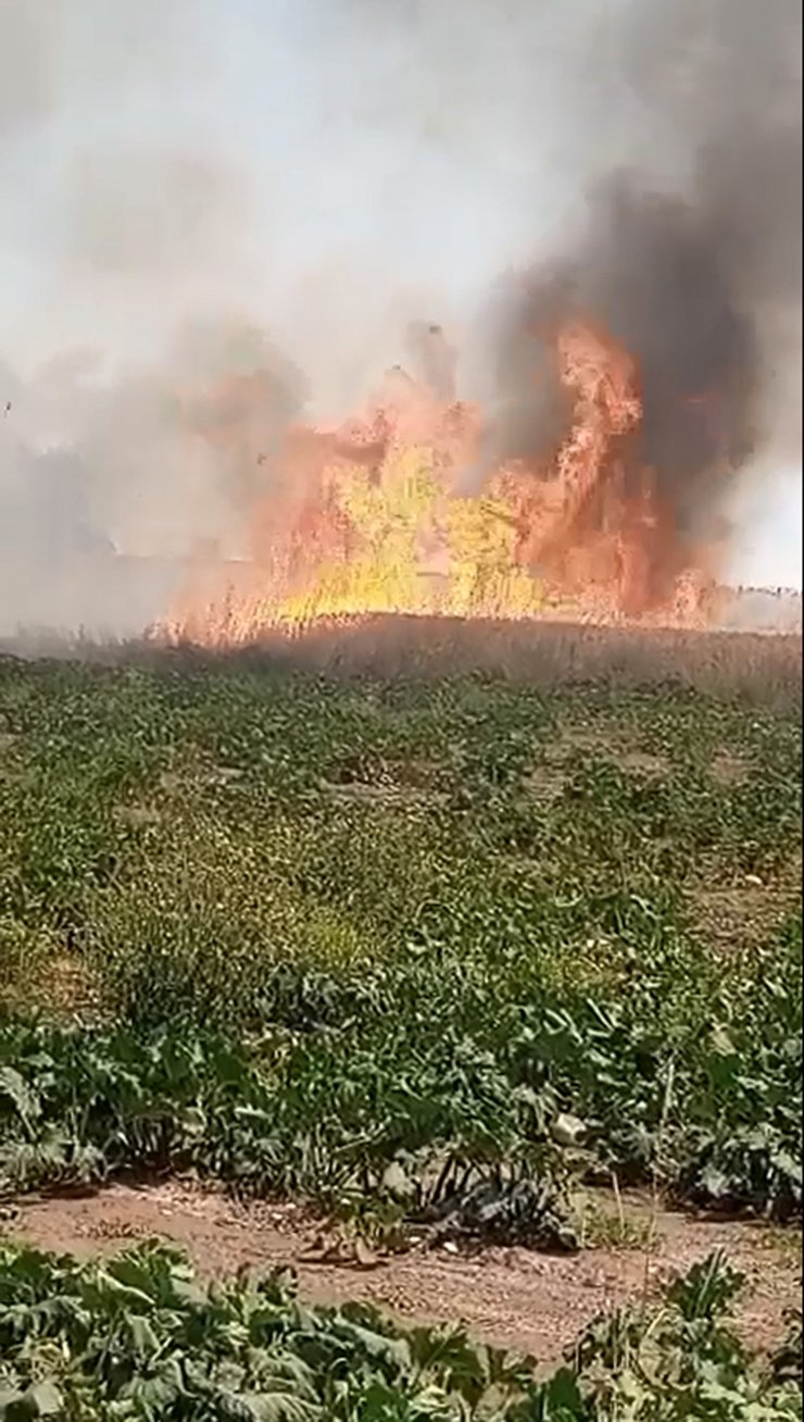 Afyonkarahisar'da tarım arazilerinde yangın