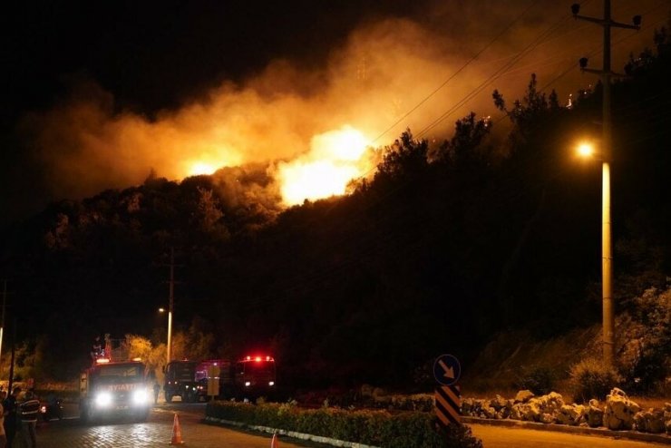 Muğla'da makilikte başlayan yangın ormana sıçradı