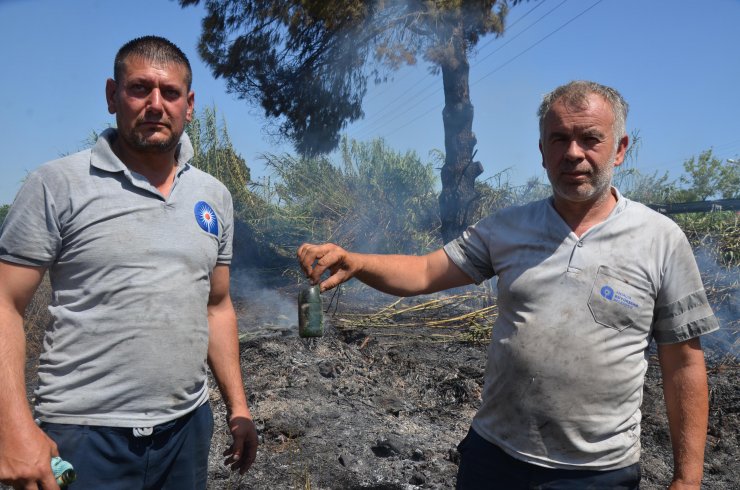 Sazlık yangını seralara sıçramadan söndürüldü