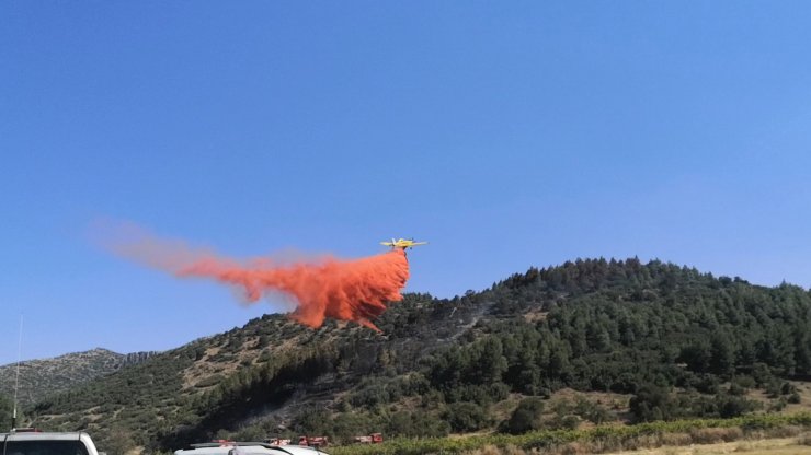 Burdur'da orman yangını (2)