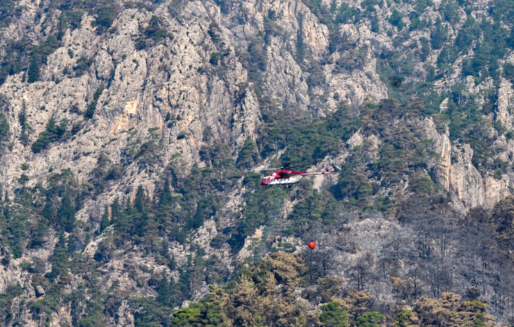 Kemer'deki orman yangını 5'inci gününde