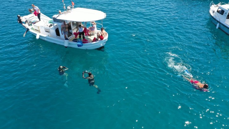 Bodrum'da denizden yarım ton atık çıktı