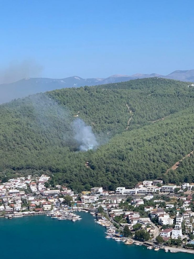 Bodrum'da orman yangını