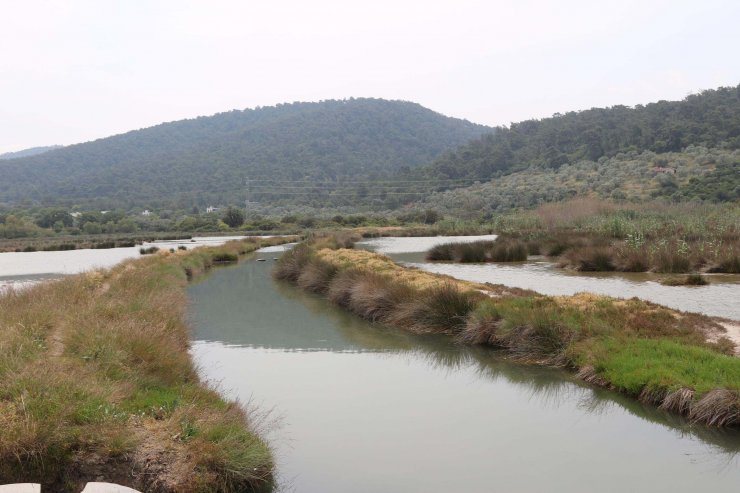 Bodrum'daki 'Gölköy Sulak Alanı tescil edildi