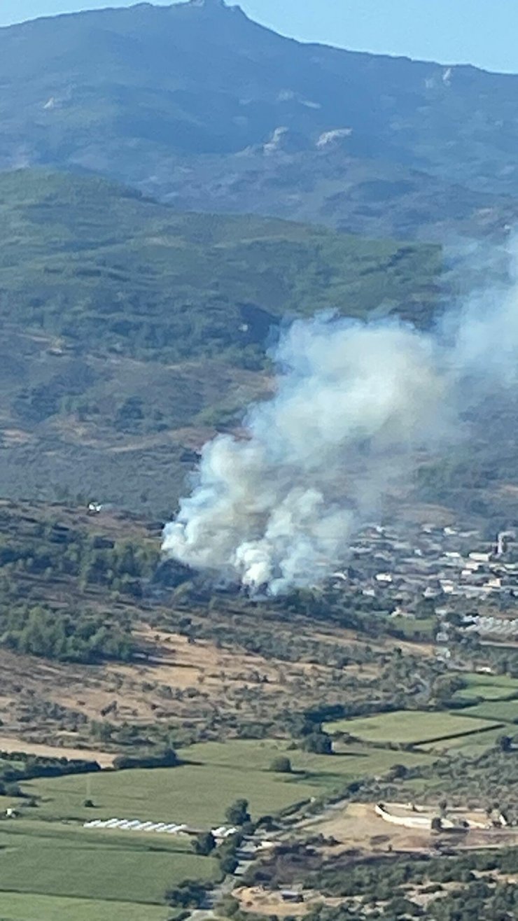 Milas'ta makilik yangını büyümeden söndürüldü