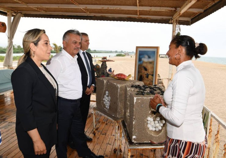 Vali Yazıcı'nın adını taşıyan yuvadaki yavru carettalar 52 gün sonra çıktı