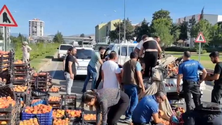 Yola saçılan şeftalileri birlikte topladılar