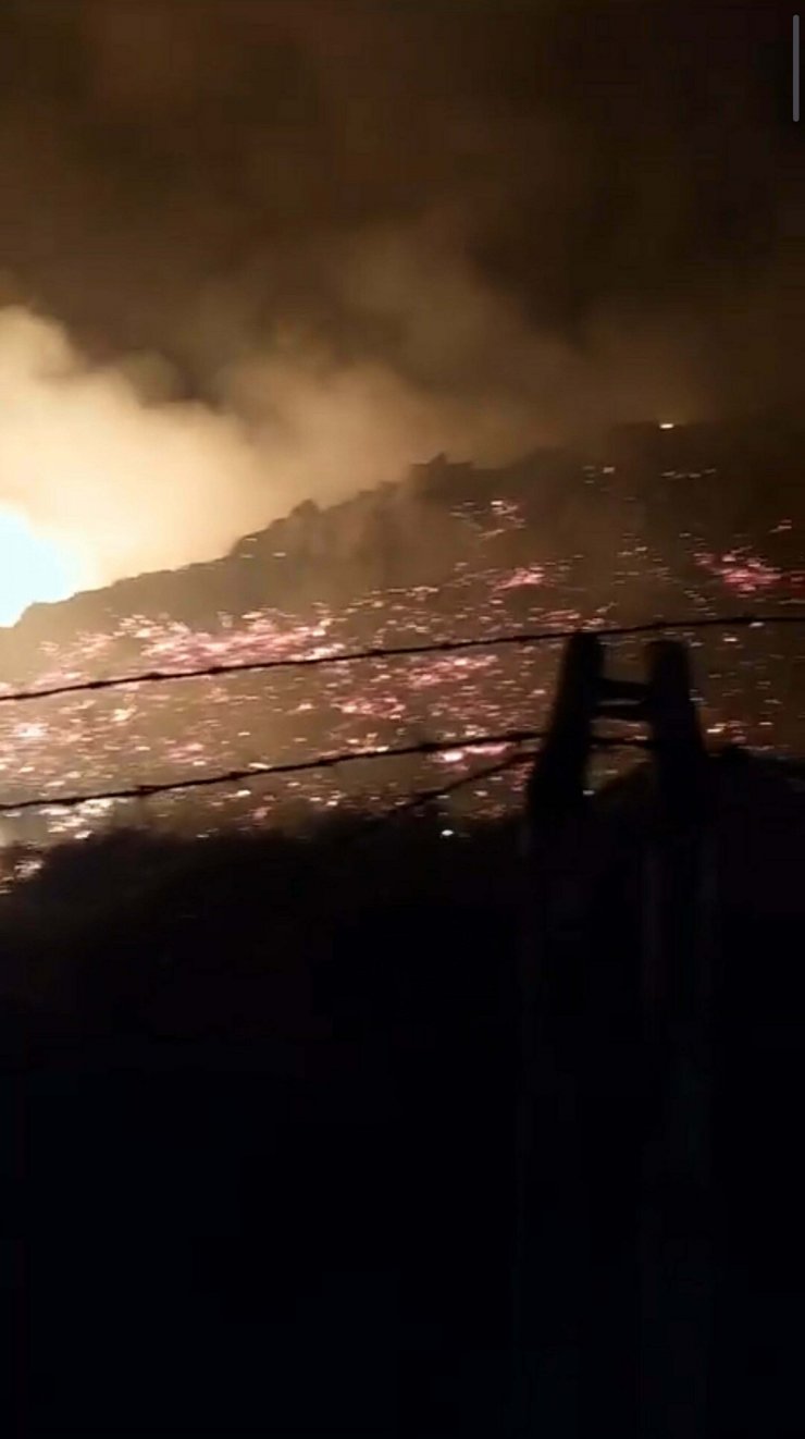 Bodrum'da maki yangınında 15 dönüm alan zarar gördü