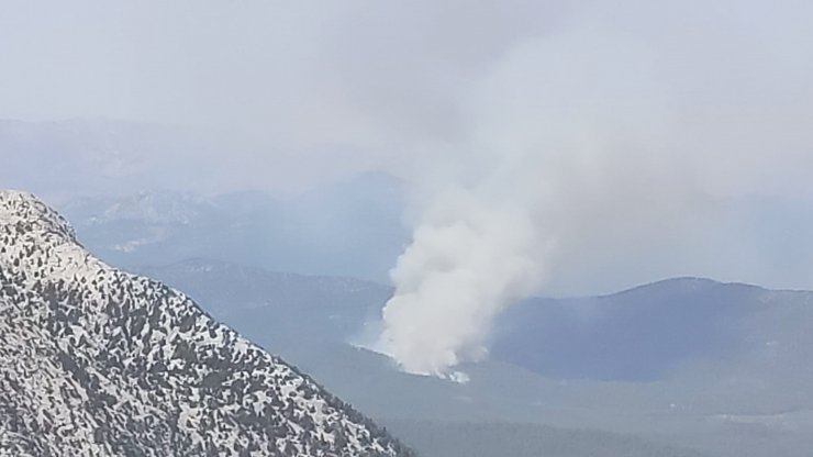 Antalya'da orman yangını 