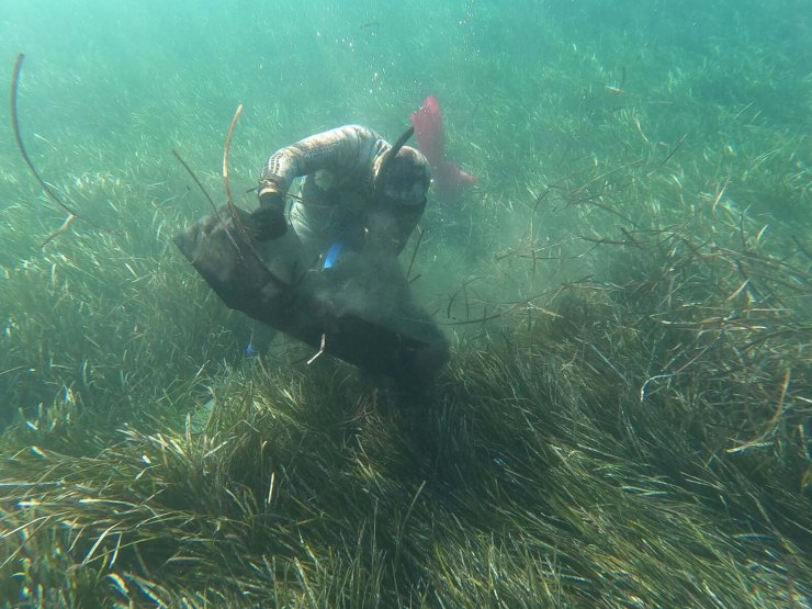 Bodrum'da deniz dibi atık temizliği