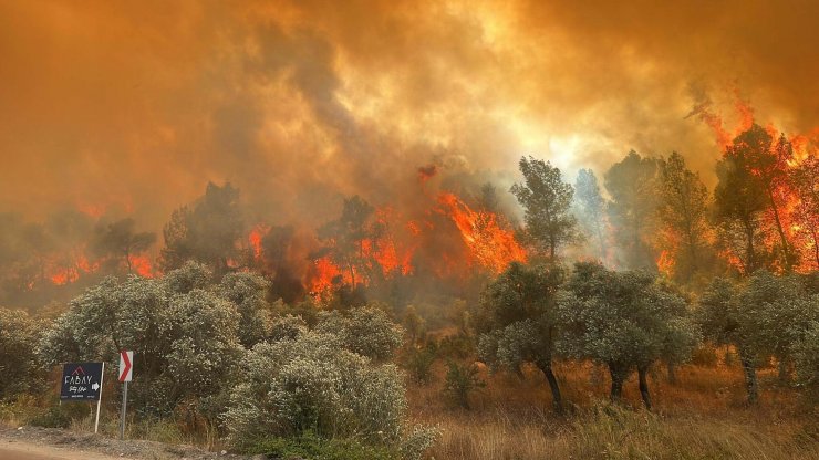 Muğla Valiliği'nden orman yangını uyarısı