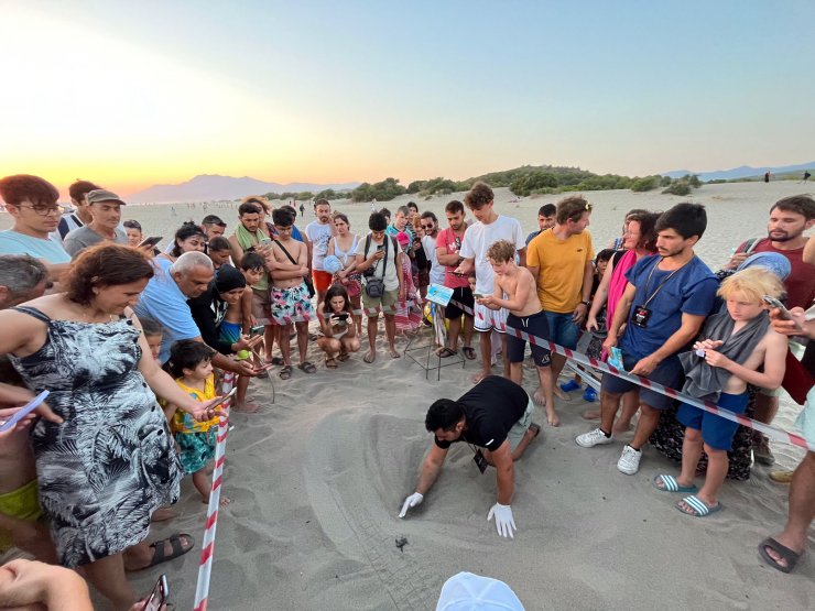 Patara'da deniz kaplumbağası yuva sayısında rekor