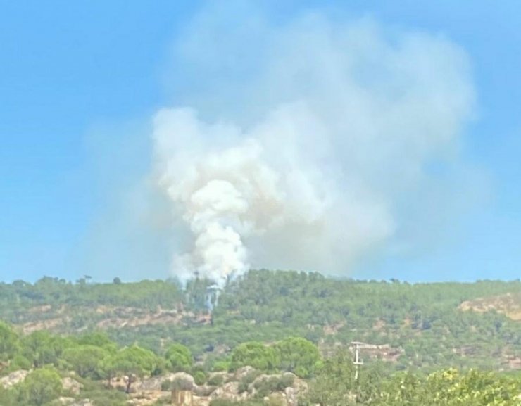 Muğla'da 1 hektar orman yandı