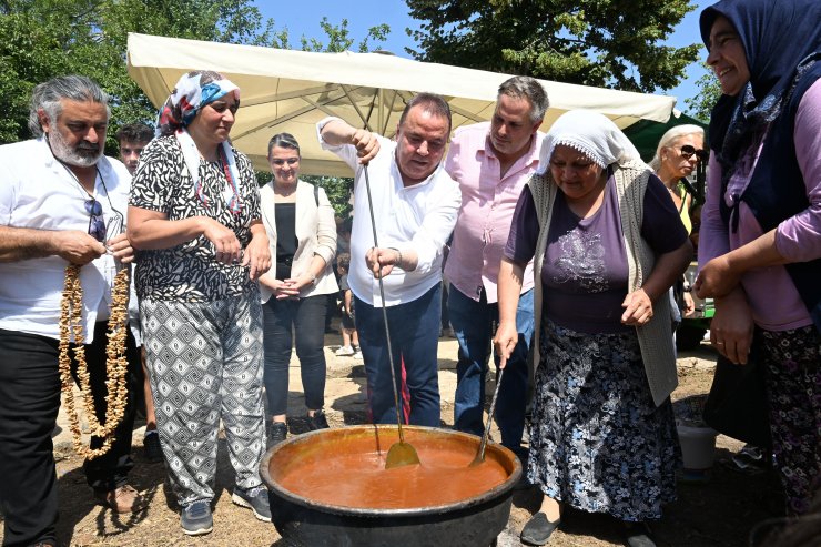 Antalya Gastronomi Festivali'nin ikinci gününde mor üzüm hasadı