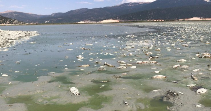 'Avlan Gölü'nden geriye, birkaç su öbeği kaldı'