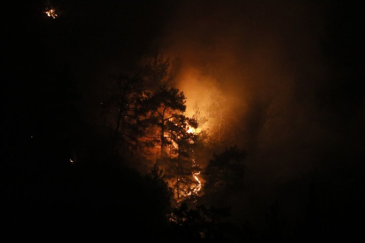 Antalya'da orman yangını (6)