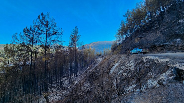 Alanya'daki orman yangınında 2'nci gün  