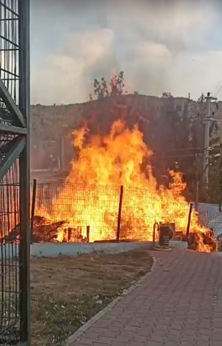 800 saman ve yulaf balyası yandı