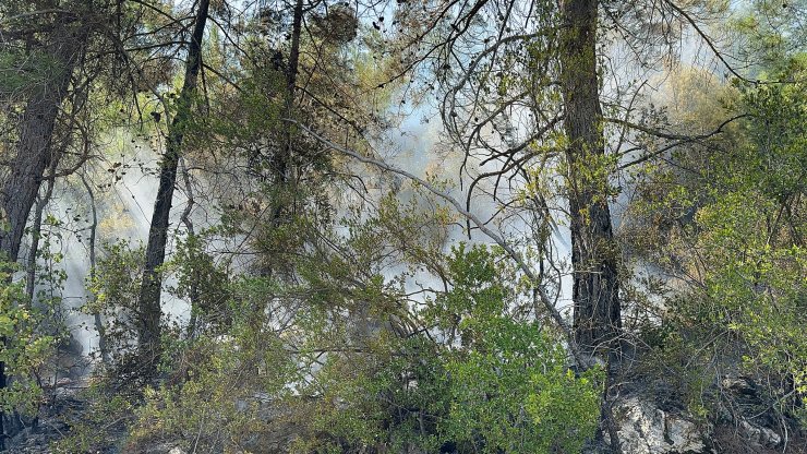 Alanya'da orman yangını söndürüldü