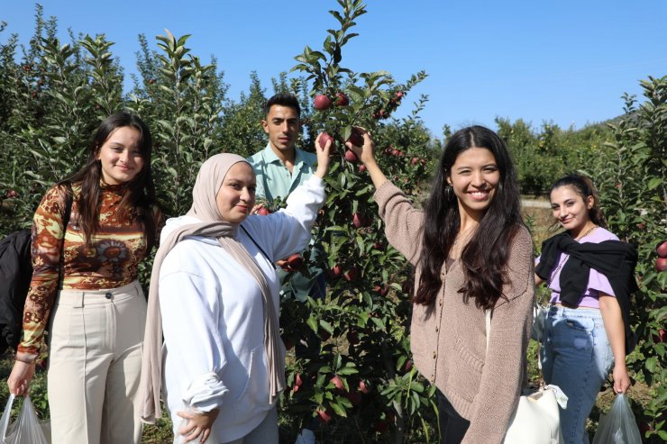 Öğrenciler elma hasadı yaptı